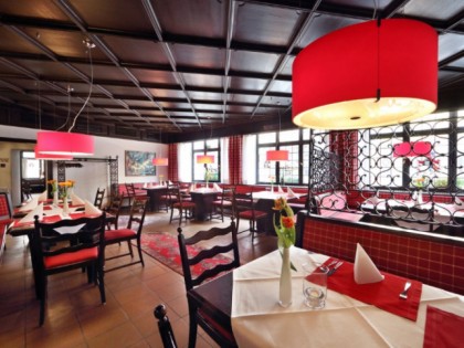 Foto: Roter Ochsen