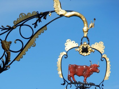 Foto: Roter Ochsen